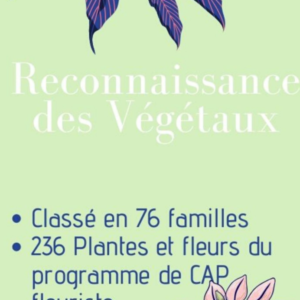 Reconnaissance des végétaux